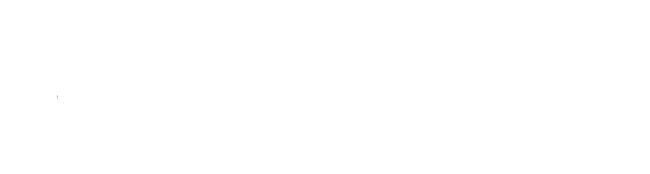 DevelopWise - Logo